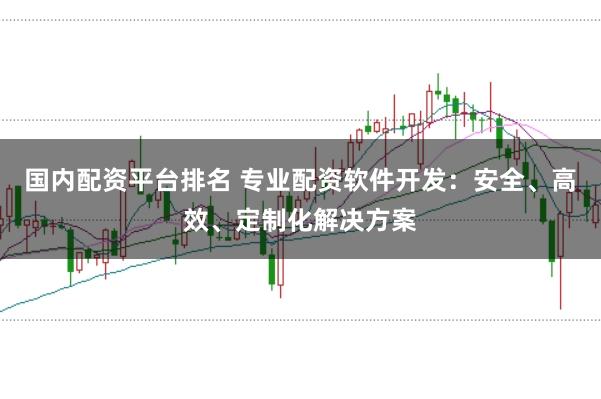 国内配资平台排名 专业配资软件开发：安全、高效、定制化解决方案
