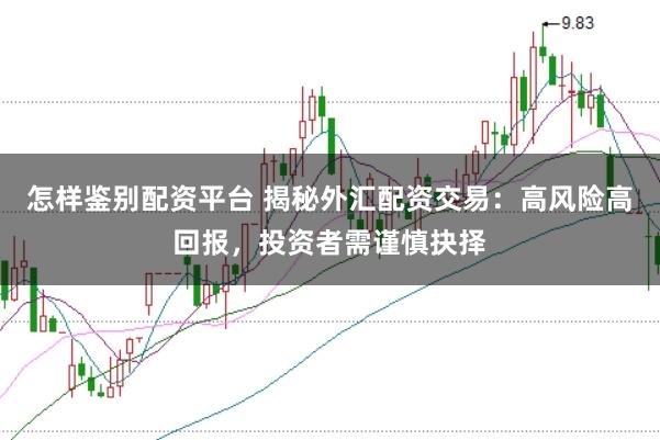 怎样鉴别配资平台 揭秘外汇配资交易：高风险高回报，投资者需谨慎抉择