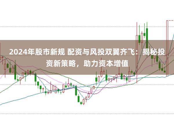 2024年股市新规 配资与风投双翼齐飞：揭秘投资新策略，助力资本增值