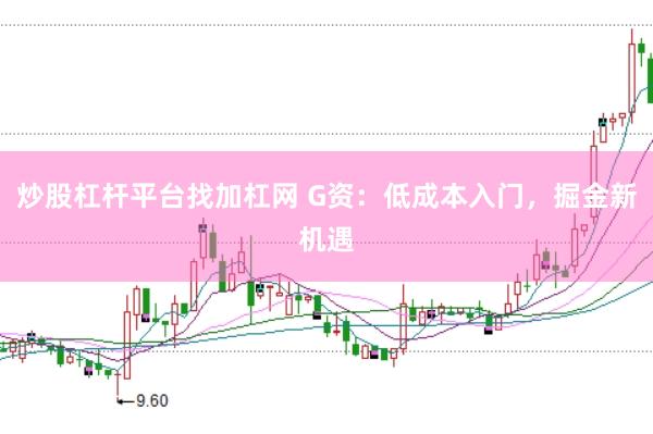 炒股杠杆平台找加杠网 G资：低成本入门，掘金新机遇