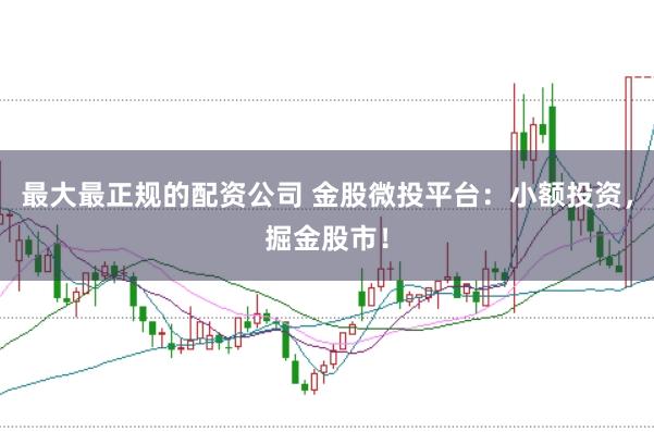 最大最正规的配资公司 金股微投平台：小额投资，掘金股市！