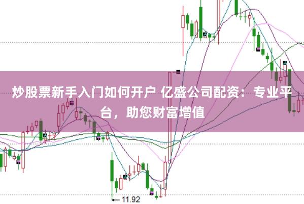 炒股票新手入门如何开户 亿盛公司配资：专业平台，助您财富增值