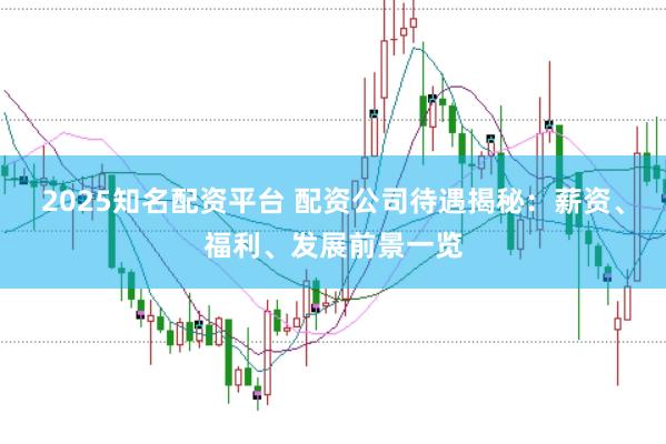 2025知名配资平台 配资公司待遇揭秘：薪资、福利、发展前景一览