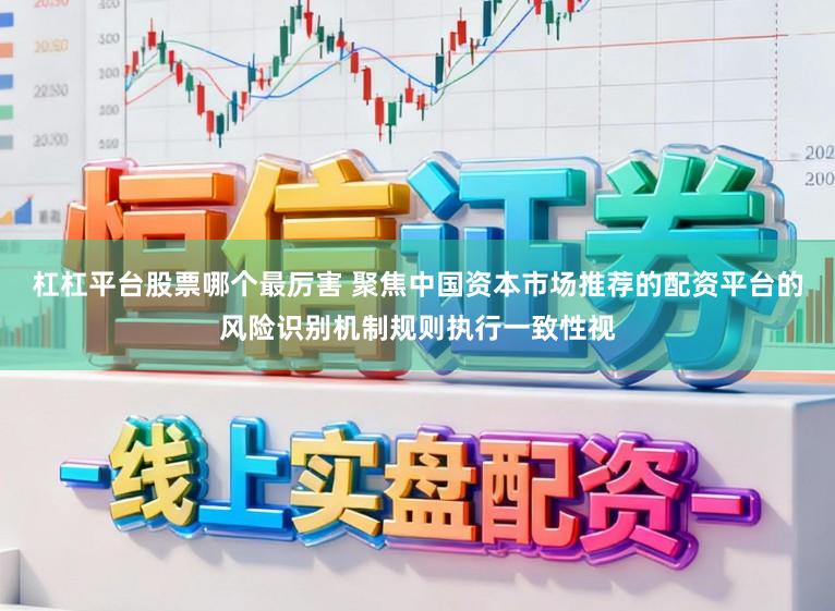杠杠平台股票哪个最厉害 聚焦中国资本市场推荐的配资平台的风险识别机制规则执行一致性视